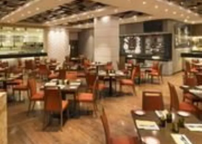 Camino Real Pedregal 5*