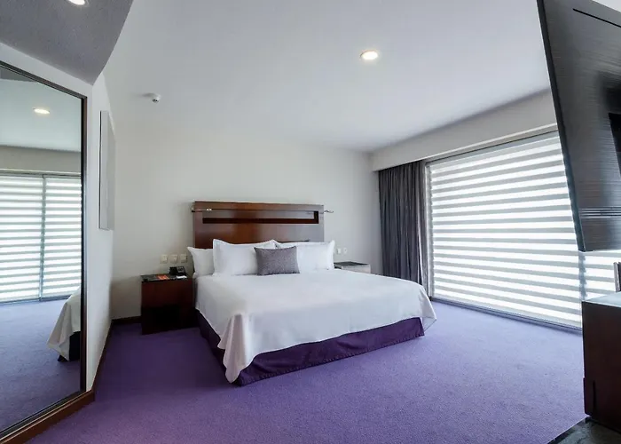 Camino Real Pedregal Hotel 5*
