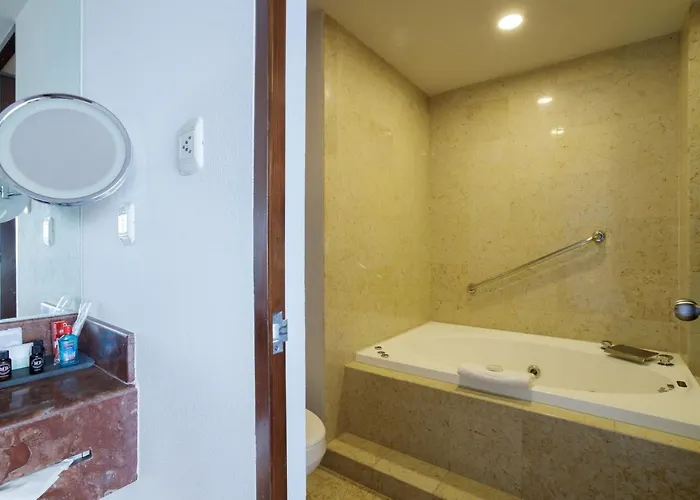 Hotel Camino Real Pedregal 5*