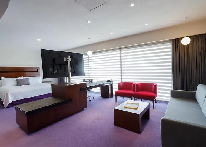 Camino Real Pedregal 5*