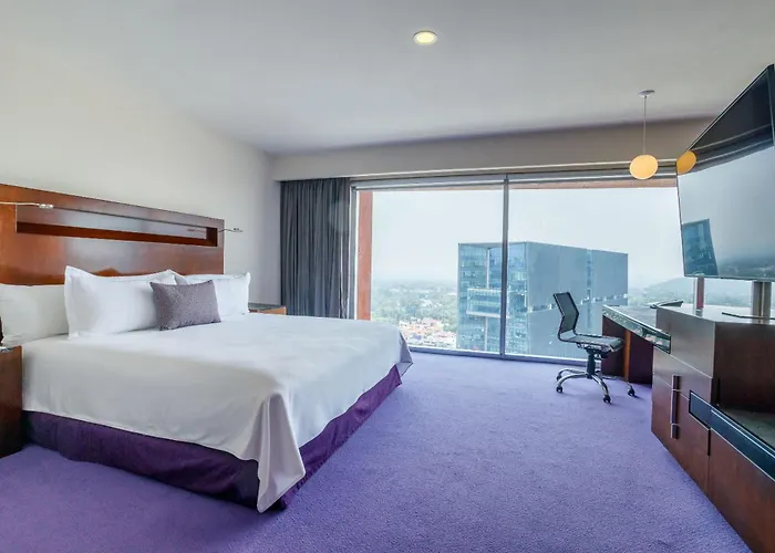Camino Real Pedregal Hotel