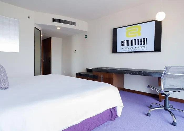 Hotel Camino Real Pedregal 5*